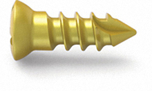 Posterior Cerbical Screw（Self Tapping）