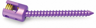 Polyaxial Pedicle Screws 751